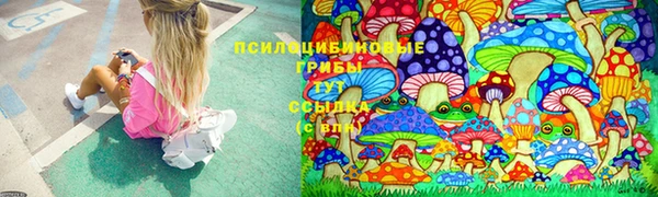 каннабис Абаза