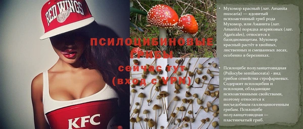 амф Алексеевка