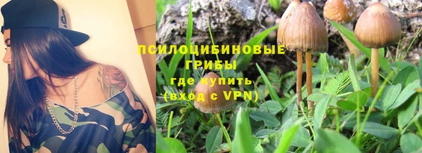 твердый Алексин